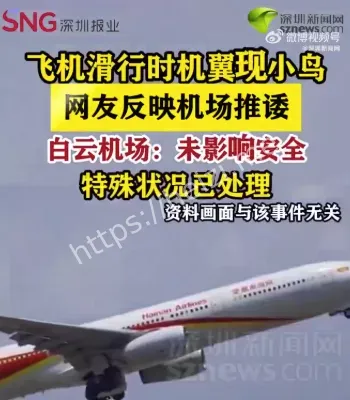 白云机场一飞机起飞前机翼惊现小鸟